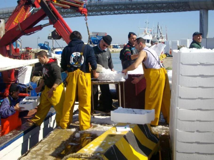 Casa Di Pipo - Appartamento Davanti Al Mare Pescara Buitenkant foto